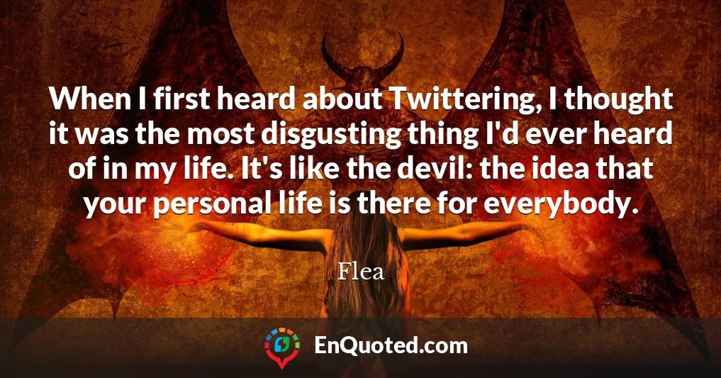 When I first heard about Twittering, I thought it was the most disgusting thing I'd ever heard of in my life. It's like the devil: the idea that your personal life is there for everybody.