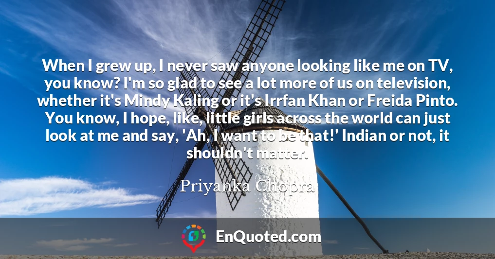 When I grew up, I never saw anyone looking like me on TV, you know? I'm so glad to see a lot more of us on television, whether it's Mindy Kaling or it's Irrfan Khan or Freida Pinto. You know, I hope, like, little girls across the world can just look at me and say, 'Ah, I want to be that!' Indian or not, it shouldn't matter.