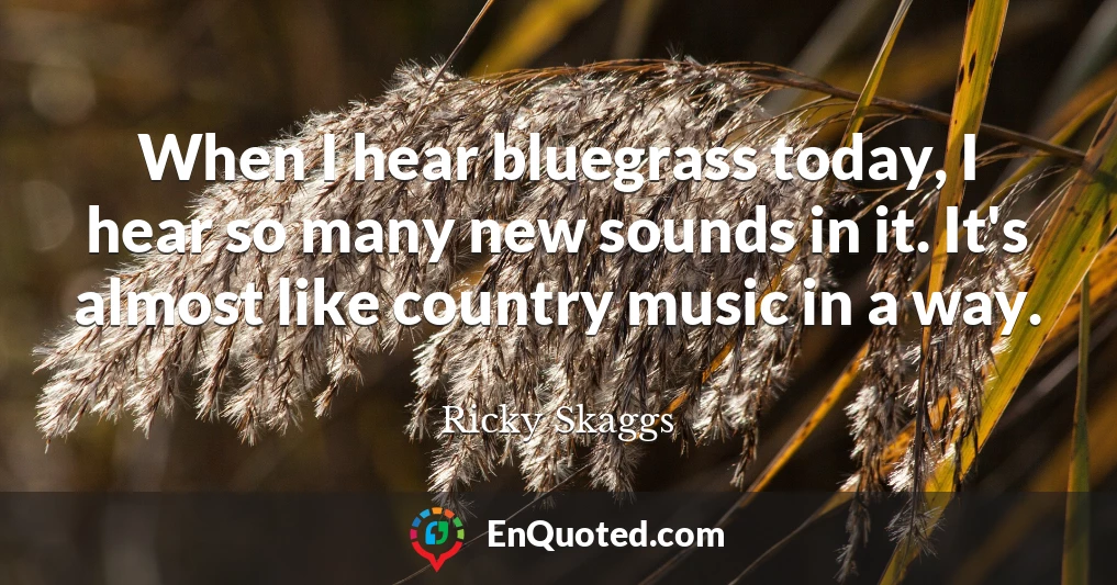 When I hear bluegrass today, I hear so many new sounds in it. It's almost like country music in a way.
