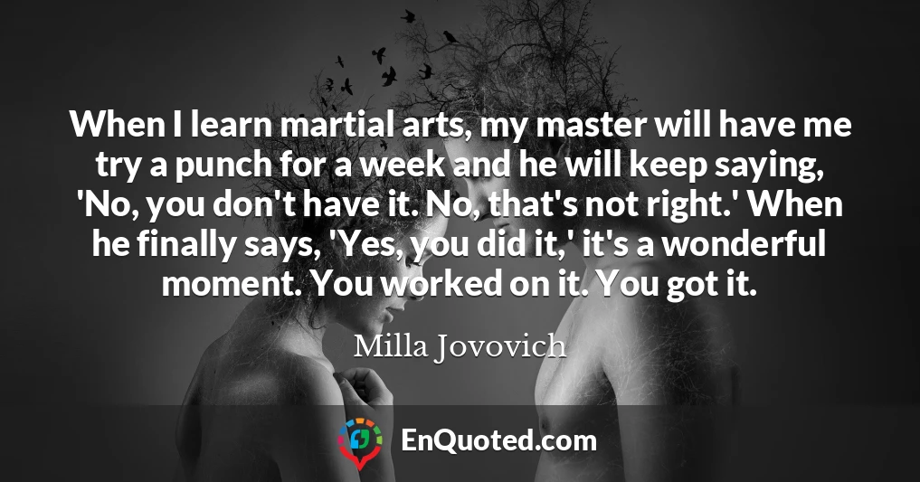 When I learn martial arts, my master will have me try a punch for a week and he will keep saying, 'No, you don't have it. No, that's not right.' When he finally says, 'Yes, you did it,' it's a wonderful moment. You worked on it. You got it.