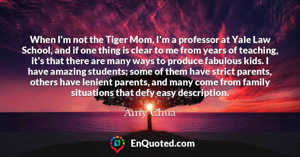 When I'm not the Tiger Mom, I'm a professor at Yale Law School, and if one thing is clear to me from years of teaching, it's that there are many ways to produce fabulous kids. I have amazing students; some of them have strict parents, others have lenient parents, and many come from family situations that defy easy description.