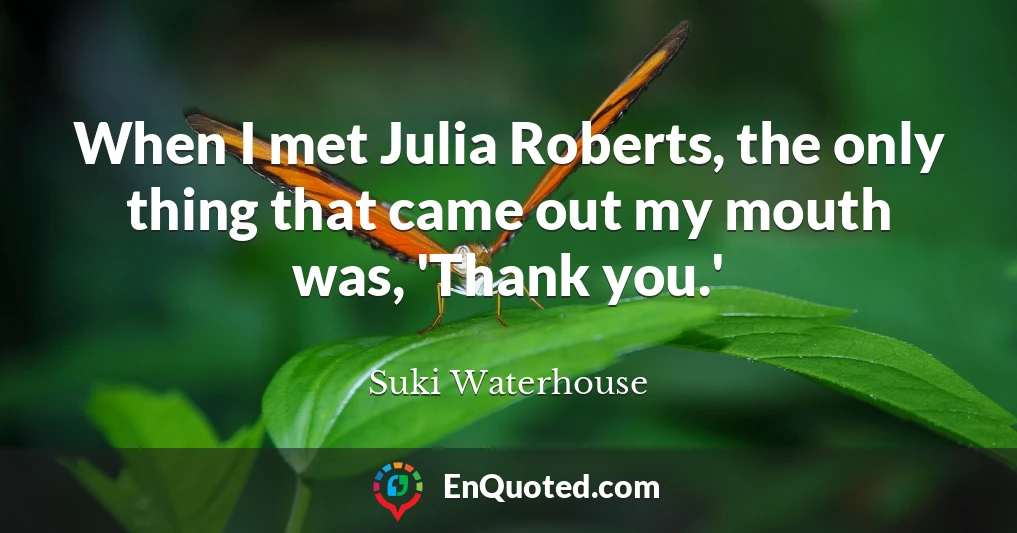 When I met Julia Roberts, the only thing that came out my mouth was, 'Thank you.'