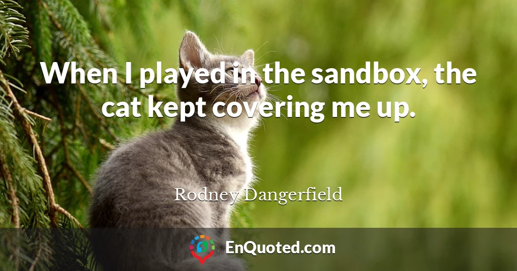 When I played in the sandbox, the cat kept covering me up.