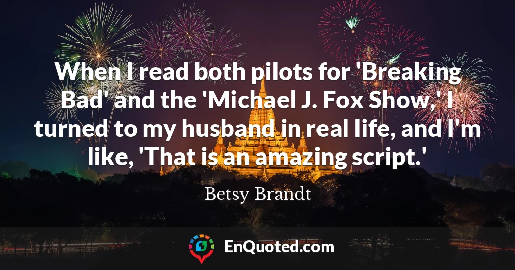 When I read both pilots for 'Breaking Bad' and the 'Michael J. Fox Show,' I turned to my husband in real life, and I'm like, 'That is an amazing script.'