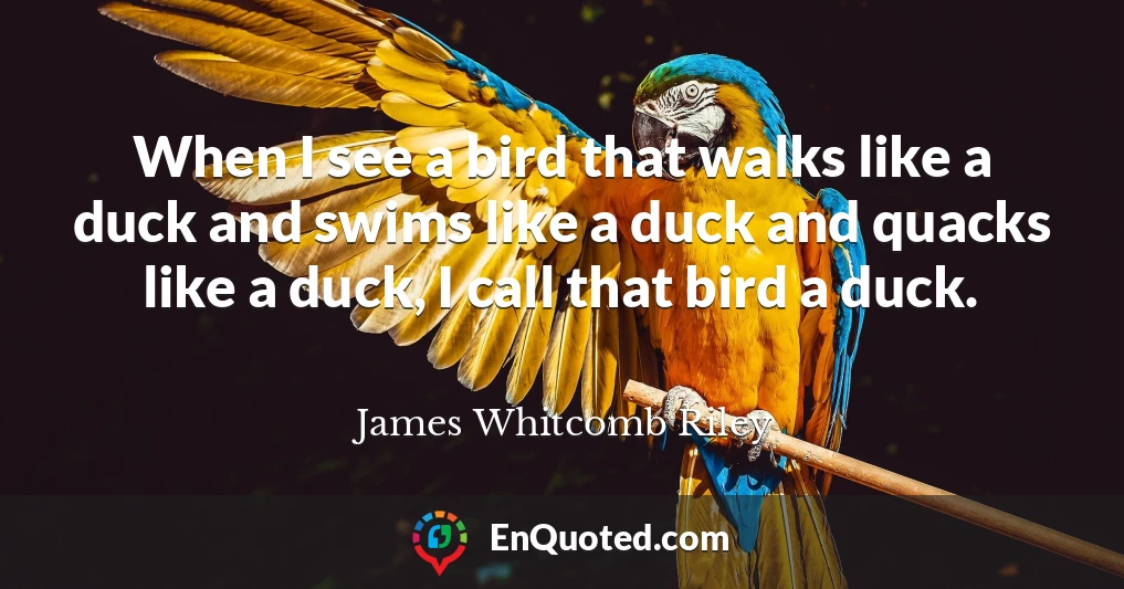 When I see a bird that walks like a duck and swims like a duck and quacks like a duck, I call that bird a duck.