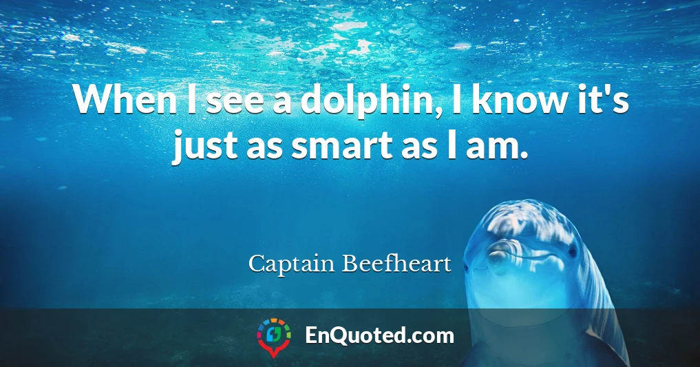 When I see a dolphin, I know it's just as smart as I am.