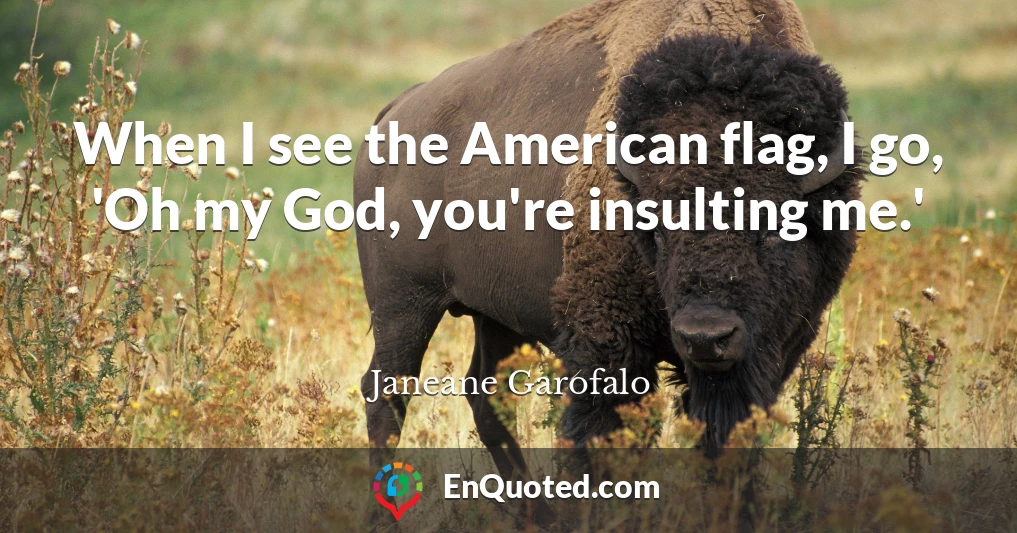 When I see the American flag, I go, 'Oh my God, you're insulting me.'