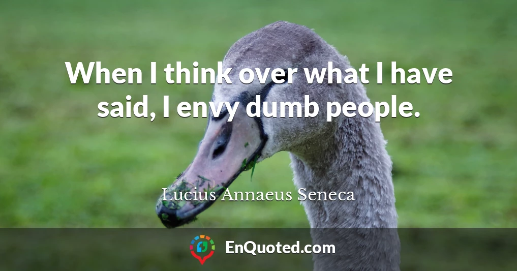 When I think over what I have said, I envy dumb people.