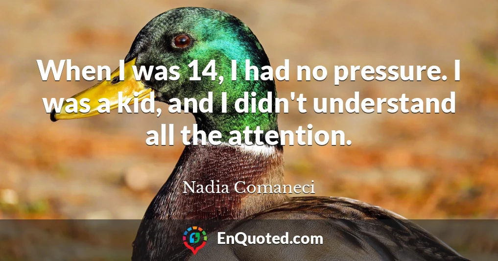 When I was 14, I had no pressure. I was a kid, and I didn't understand all the attention.