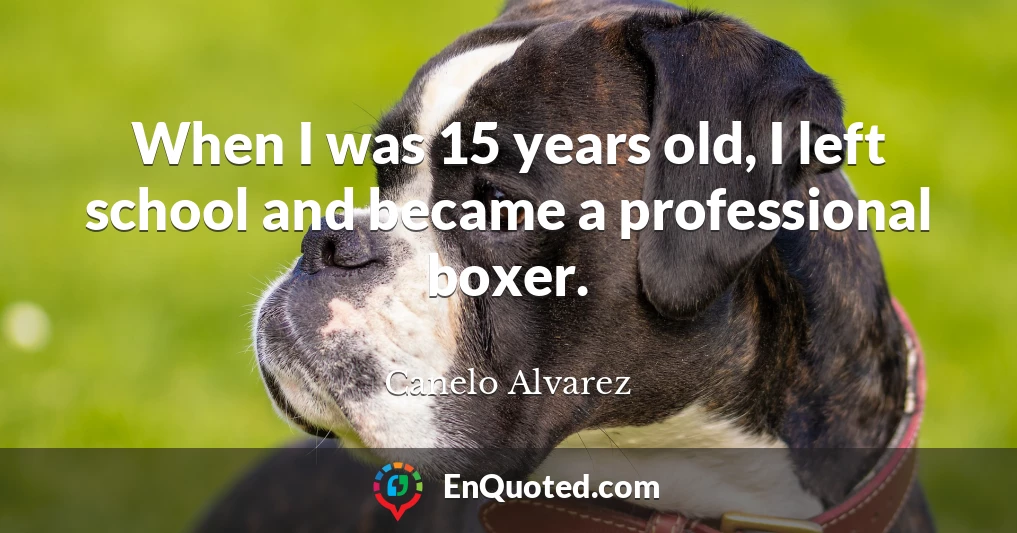 When I was 15 years old, I left school and became a professional boxer.