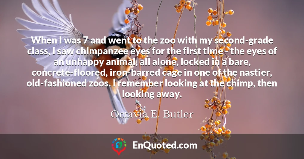 When I was 7 and went to the zoo with my second-grade class, I saw chimpanzee eyes for the first time - the eyes of an unhappy animal, all alone, locked in a bare, concrete-floored, iron-barred cage in one of the nastier, old-fashioned zoos. I remember looking at the chimp, then looking away.