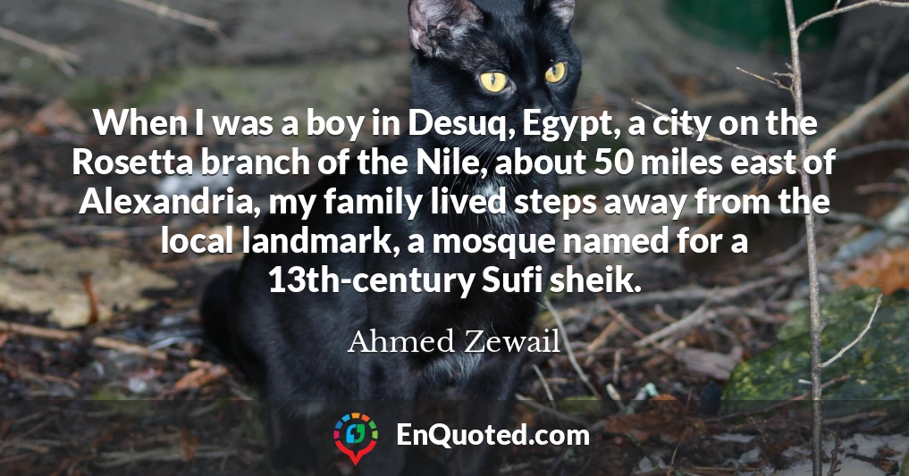 When I was a boy in Desuq, Egypt, a city on the Rosetta branch of the Nile, about 50 miles east of Alexandria, my family lived steps away from the local landmark, a mosque named for a 13th-century Sufi sheik.