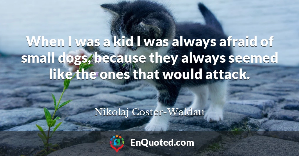 When I was a kid I was always afraid of small dogs, because they always seemed like the ones that would attack.