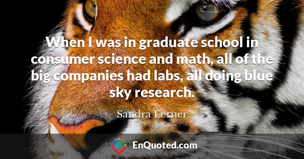 When I was in graduate school in consumer science and math, all of the big companies had labs, all doing blue sky research.