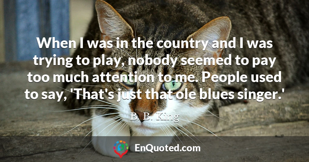 When I was in the country and I was trying to play, nobody seemed to pay too much attention to me. People used to say, 'That's just that ole blues singer.'