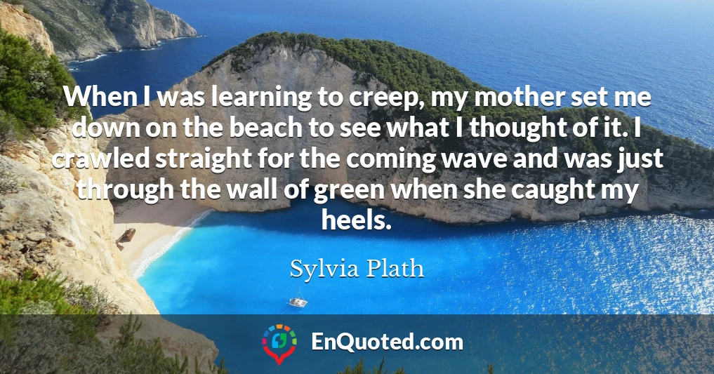 When I was learning to creep, my mother set me down on the beach to see what I thought of it. I crawled straight for the coming wave and was just through the wall of green when she caught my heels.