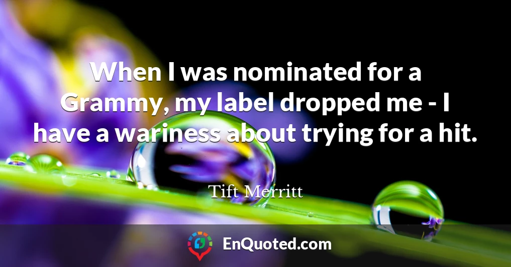 When I was nominated for a Grammy, my label dropped me - I have a wariness about trying for a hit.