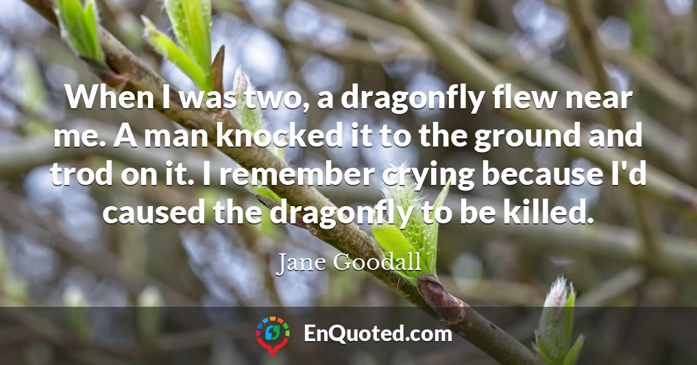 When I was two, a dragonfly flew near me. A man knocked it to the ground and trod on it. I remember crying because I'd caused the dragonfly to be killed.