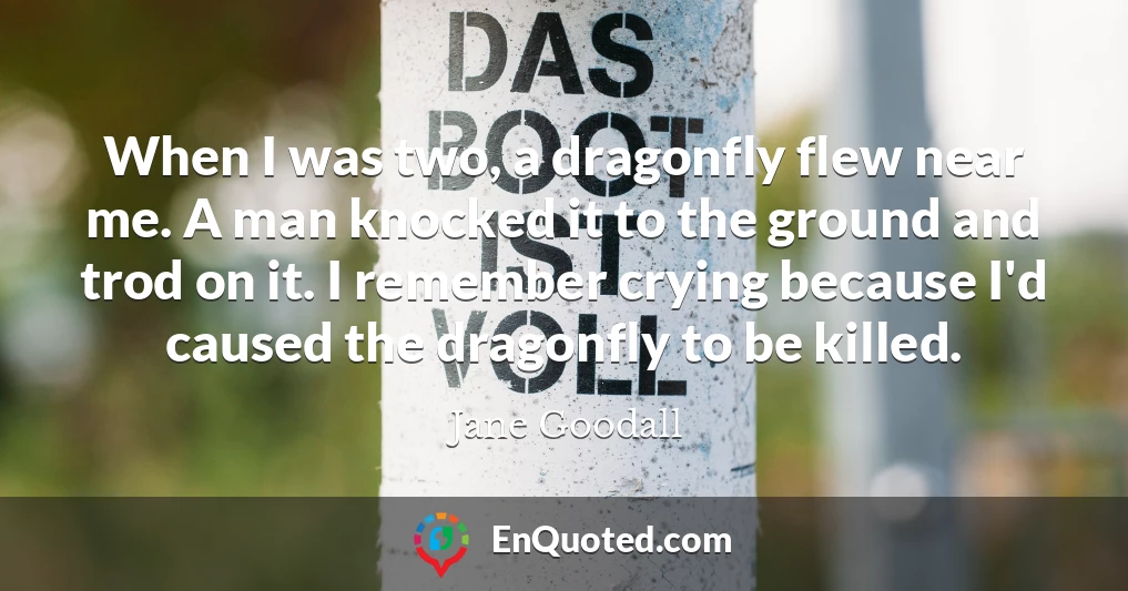 When I was two, a dragonfly flew near me. A man knocked it to the ground and trod on it. I remember crying because I'd caused the dragonfly to be killed.