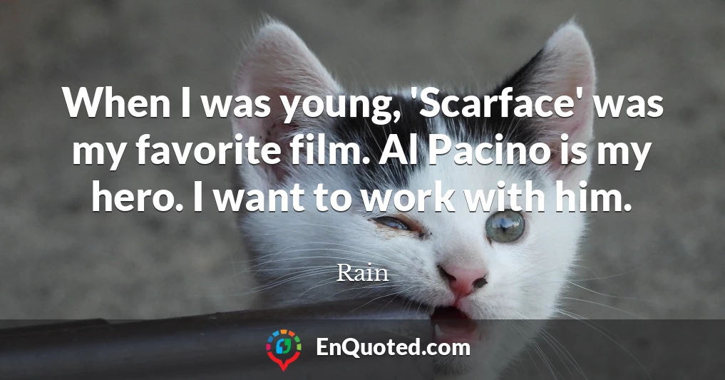 When I was young, 'Scarface' was my favorite film. Al Pacino is my hero. I want to work with him.