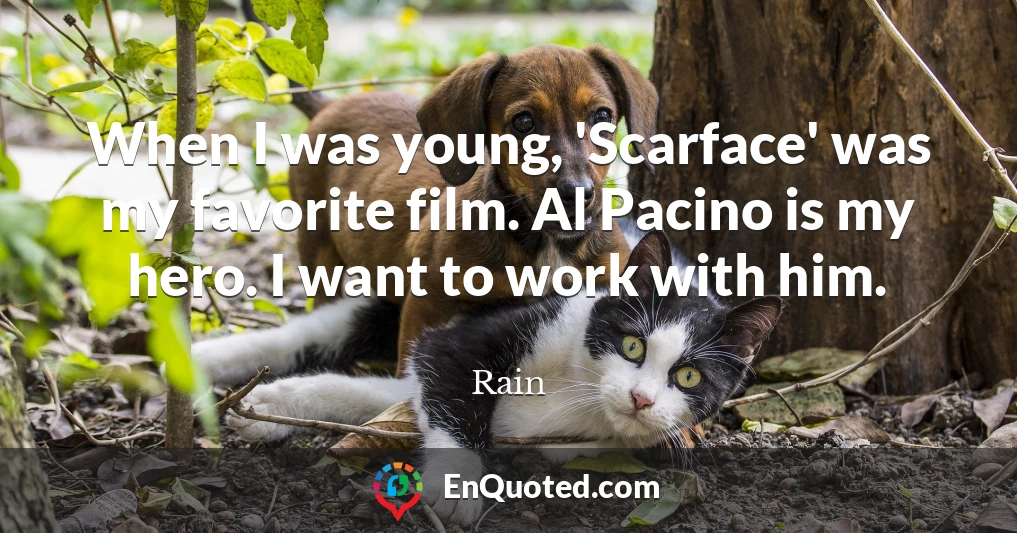 When I was young, 'Scarface' was my favorite film. Al Pacino is my hero. I want to work with him.