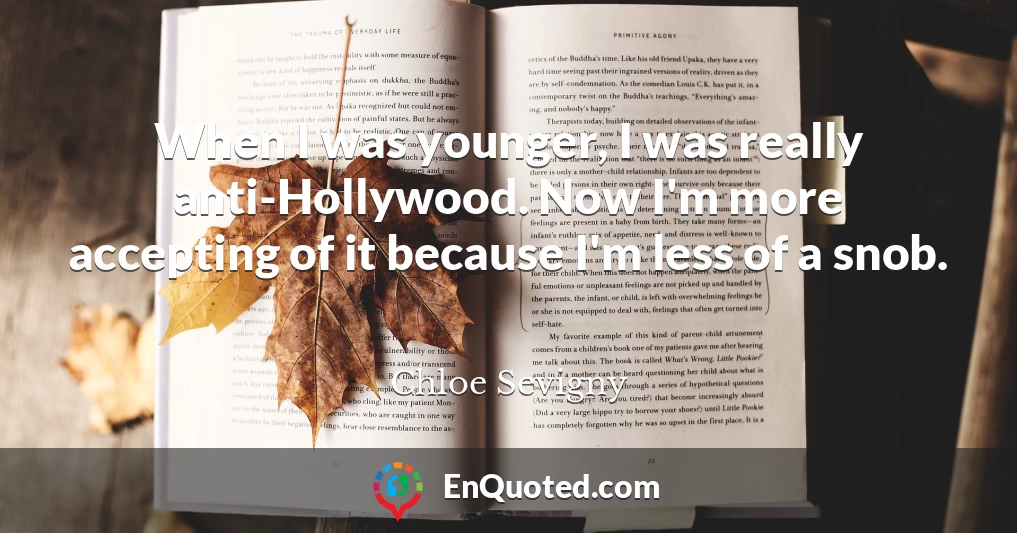 When I was younger, I was really anti-Hollywood. Now I'm more accepting of it because I'm less of a snob.