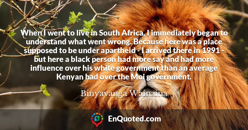 When I went to live in South Africa, I immediately began to understand what went wrong. Because here was a place supposed to be under apartheid - I arrived there in 1991 - but here a black person had more say and had more influence over his white government than an average Kenyan had over the Moi government.