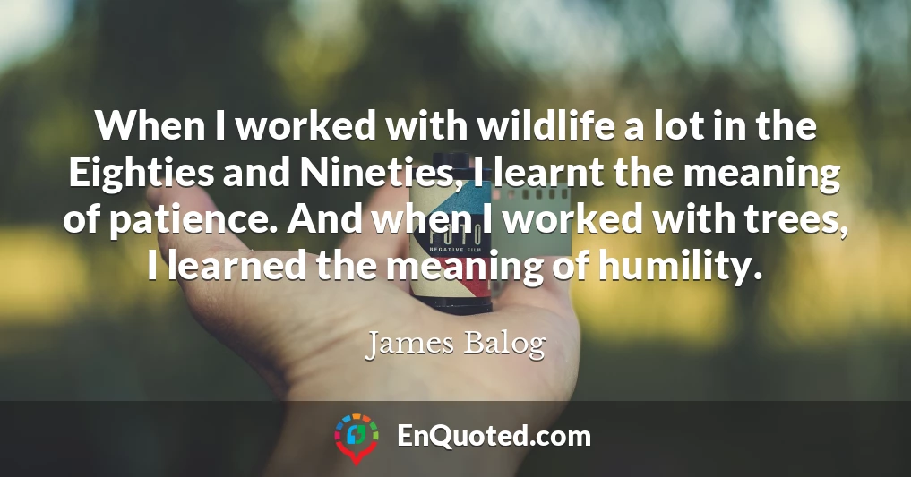 When I worked with wildlife a lot in the Eighties and Nineties, I learnt the meaning of patience. And when I worked with trees, I learned the meaning of humility.