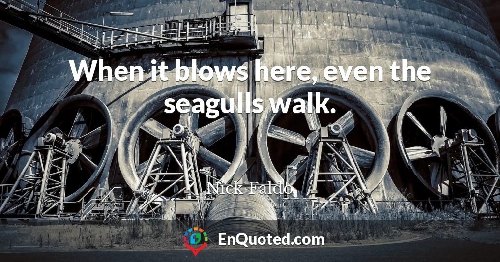 When it blows here, even the seagulls walk.