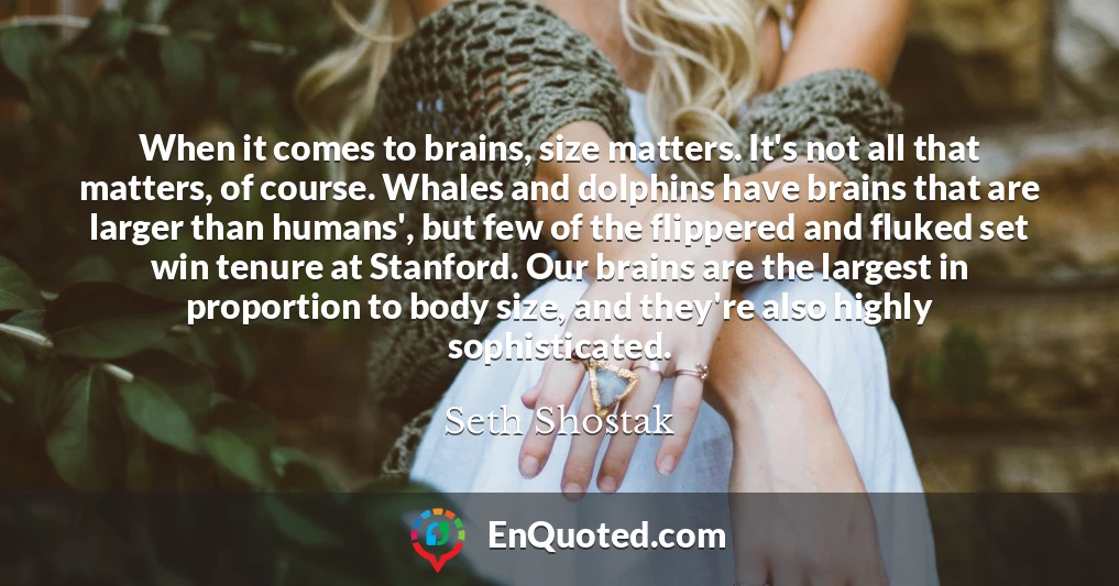 When it comes to brains, size matters. It's not all that matters, of course. Whales and dolphins have brains that are larger than humans', but few of the flippered and fluked set win tenure at Stanford. Our brains are the largest in proportion to body size, and they're also highly sophisticated.