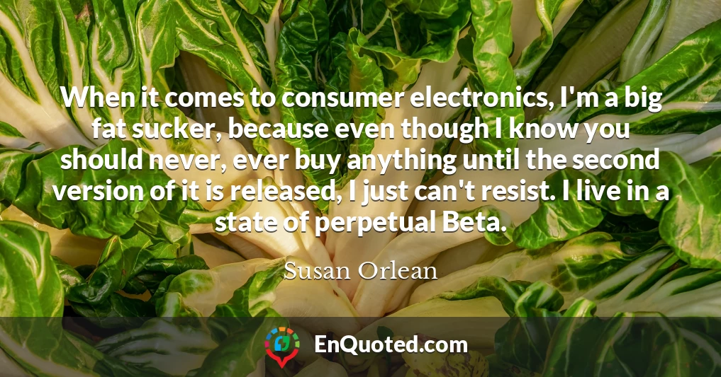 When it comes to consumer electronics, I'm a big fat sucker, because even though I know you should never, ever buy anything until the second version of it is released, I just can't resist. I live in a state of perpetual Beta.