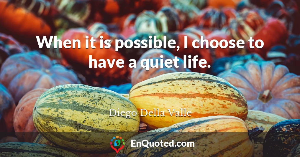 When it is possible, I choose to have a quiet life.