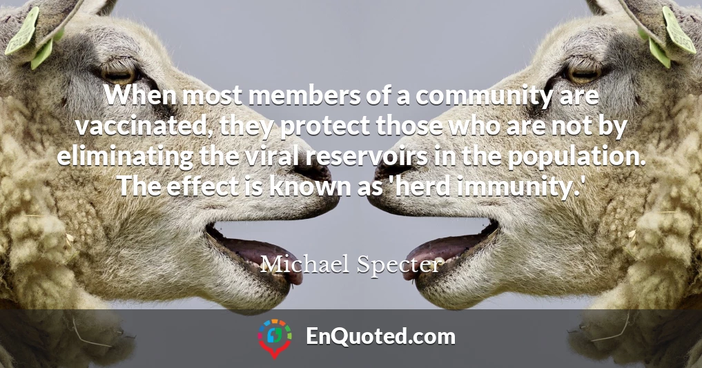 When most members of a community are vaccinated, they protect those who are not by eliminating the viral reservoirs in the population. The effect is known as 'herd immunity.'