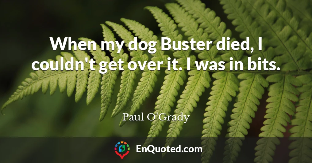 When my dog Buster died, I couldn't get over it. I was in bits.