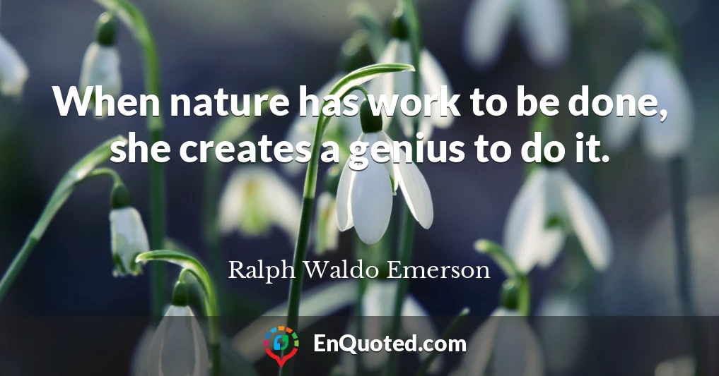 When nature has work to be done, she creates a genius to do it.