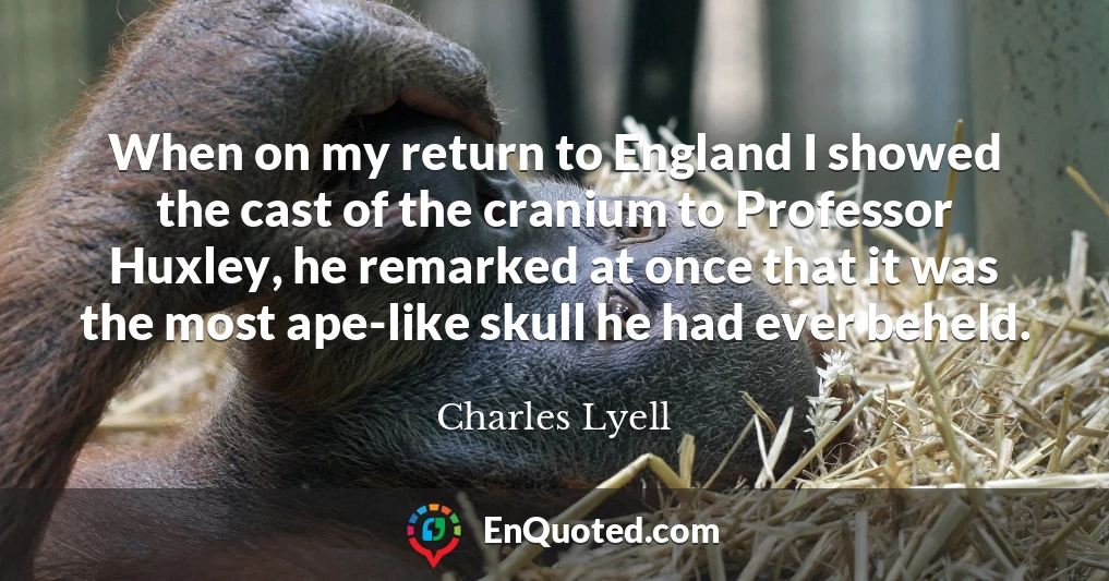When on my return to England I showed the cast of the cranium to Professor Huxley, he remarked at once that it was the most ape-like skull he had ever beheld.