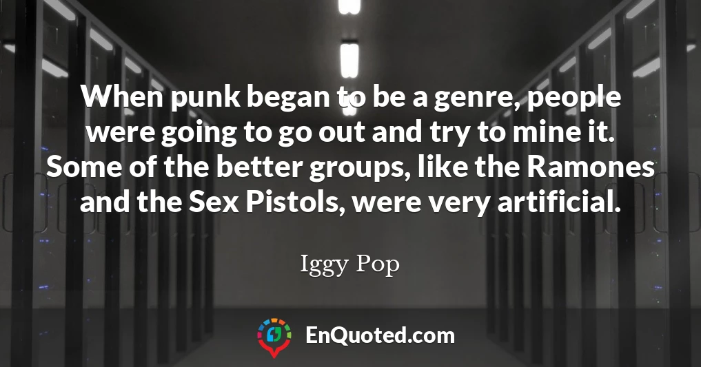 When punk began to be a genre, people were going to go out and try to mine it. Some of the better groups, like the Ramones and the Sex Pistols, were very artificial.