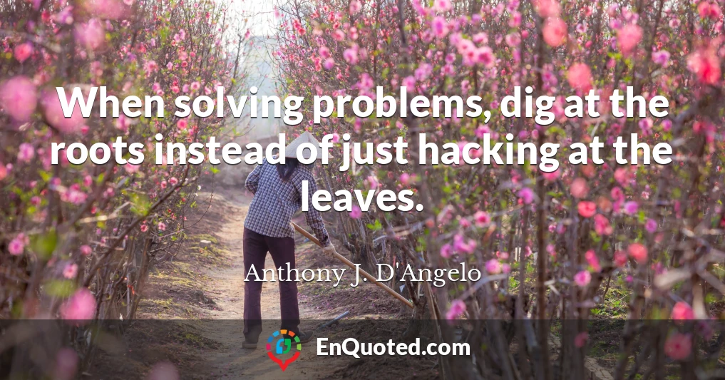 Anthony J. D'Angelo Quote: “When solving problems, dig at the