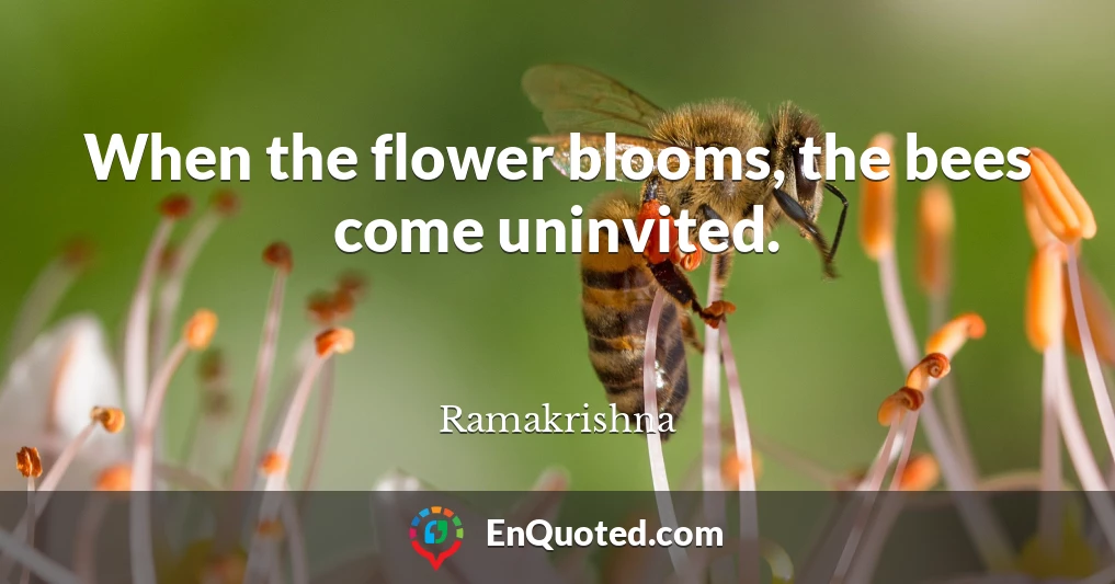 When the flower blooms, the bees come uninvited.