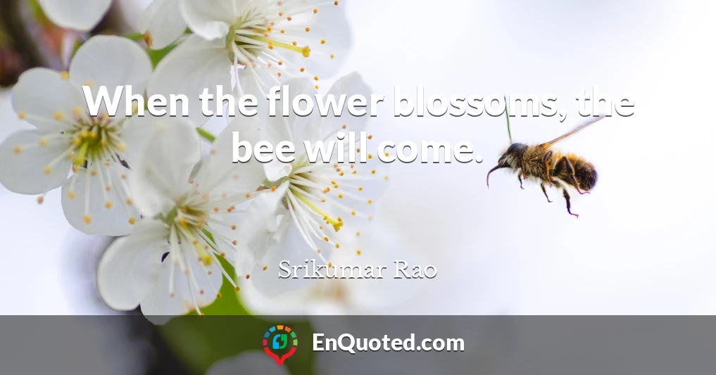 When the flower blossoms, the bee will come.