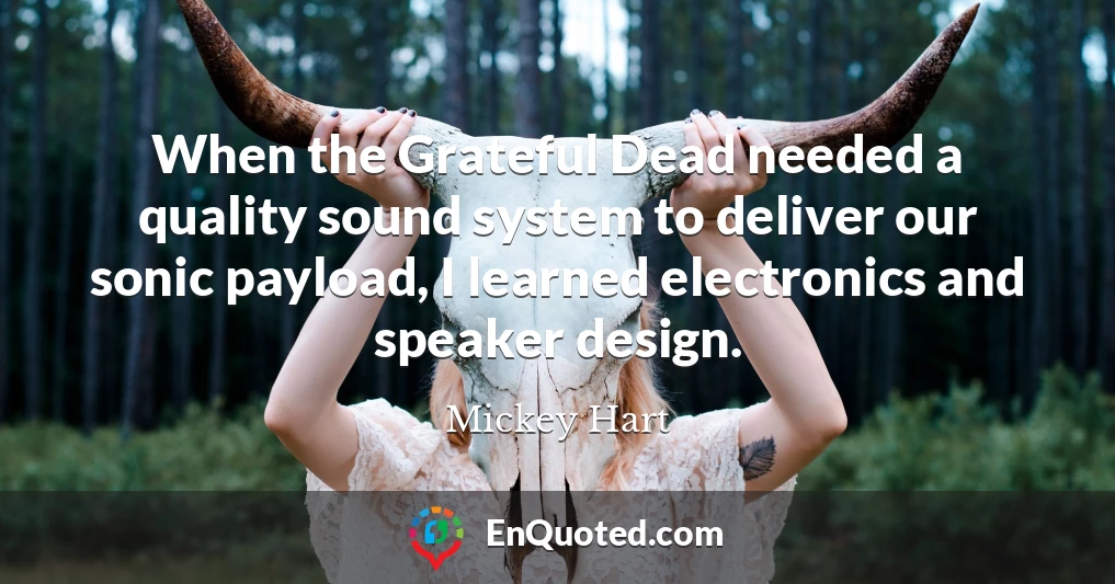 When the Grateful Dead needed a quality sound system to deliver our sonic payload, I learned electronics and speaker design.