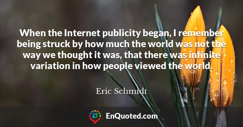 When the Internet publicity began, I remember being struck by how much the world was not the way we thought it was, that there was infinite variation in how people viewed the world.