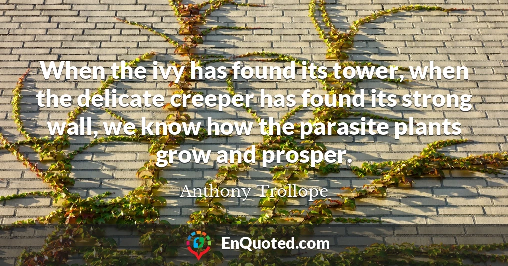 When the ivy has found its tower, when the delicate creeper has found its strong wall, we know how the parasite plants grow and prosper.
