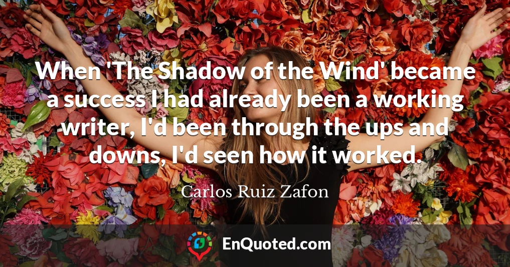 When 'The Shadow of the Wind' became a success I had already been a working writer, I'd been through the ups and downs, I'd seen how it worked.