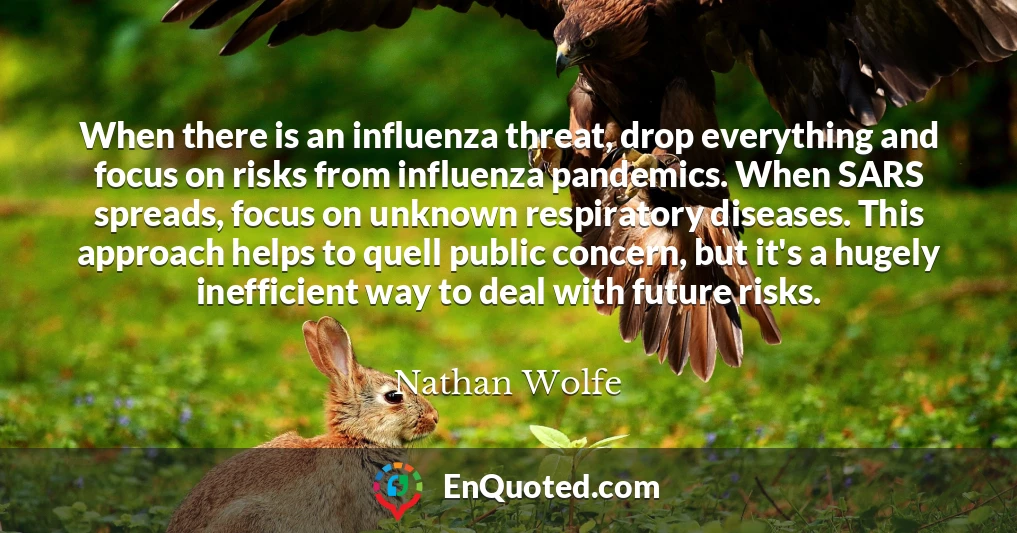 When there is an influenza threat, drop everything and focus on risks from influenza pandemics. When SARS spreads, focus on unknown respiratory diseases. This approach helps to quell public concern, but it's a hugely inefficient way to deal with future risks.
