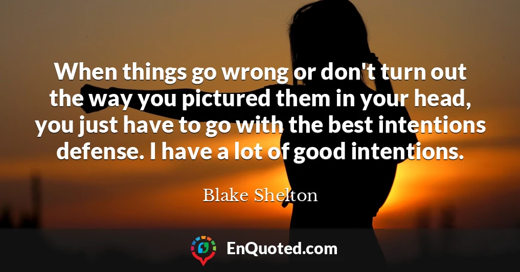 When things go wrong or don't turn out the way you pictured them in your head, you just have to go with the best intentions defense. I have a lot of good intentions.