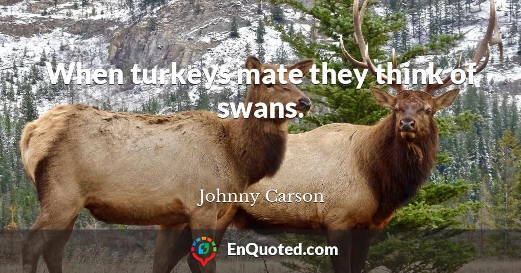 When turkeys mate they think of swans.