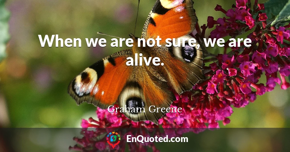 When we are not sure, we are alive.
