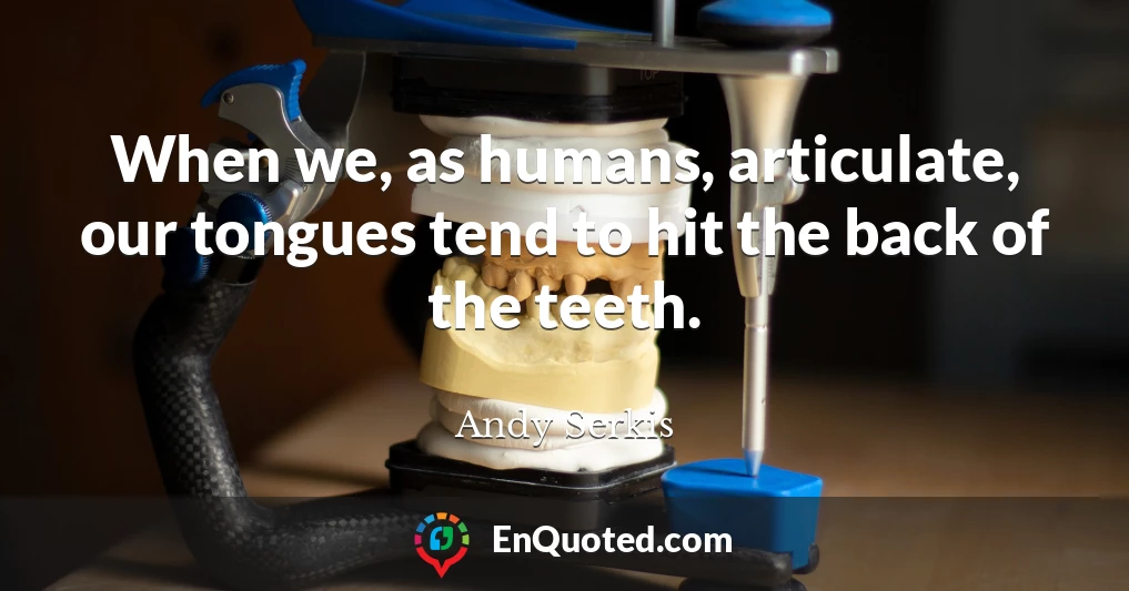 When we, as humans, articulate, our tongues tend to hit the back of the teeth.