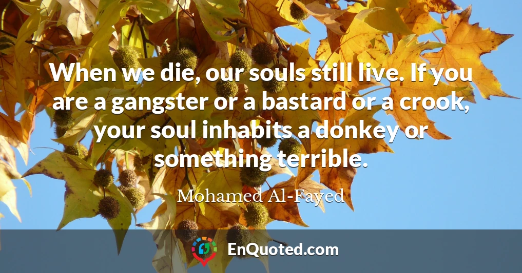 When we die, our souls still live. If you are a gangster or a bastard or a crook, your soul inhabits a donkey or something terrible.